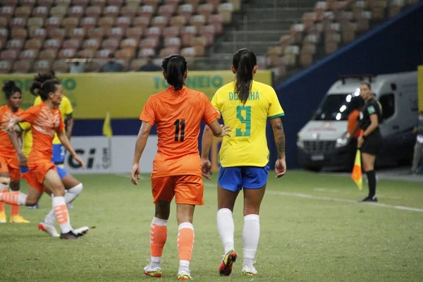 Thành Tích Đội Tuyển Nữ Việt Nam Tại Vòng Loại AFF Cup